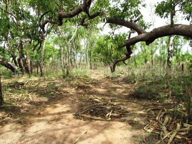 Main view of Homely land listing, 542 & 32 Cheeney - Nolan Road, Batchelor NT 845