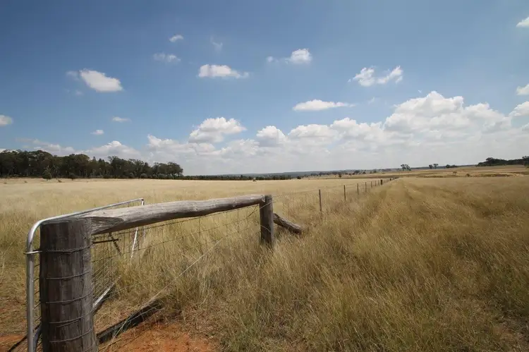 Main view of Homely rural property listing, 885 Boomley Road, Dunedoo NSW 2844
