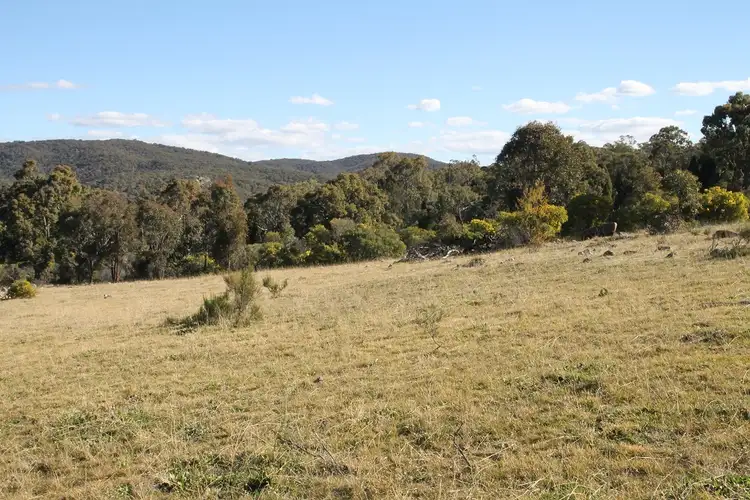 Fourth view of Homely rural property listing, 1117 Botobolar Road, Mudgee NSW 2850
