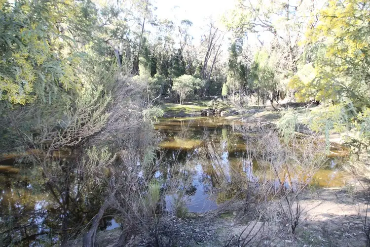 Sixth view of Homely rural property listing, 1117 Botobolar Road, Mudgee NSW 2850