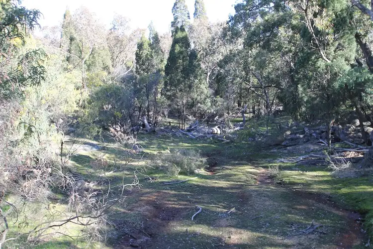 Seventh view of Homely rural property listing, 1117 Botobolar Road, Mudgee NSW 2850