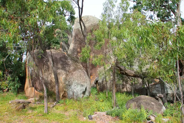 Sixth view of Homely rural property listing, 159 Frog Rock Road, Mudgee NSW 2850