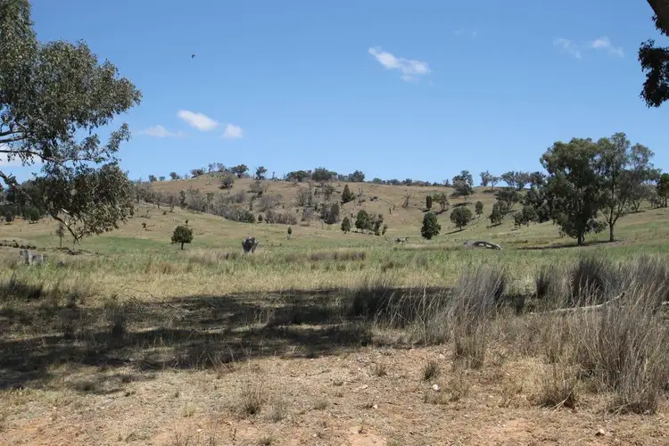 Fourth view of Homely rural property listing, 65 Guroba Road, Mudgee NSW 2850