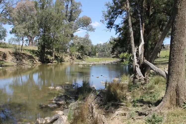 Sixth view of Homely rural property listing, 65 Guroba Road, Mudgee NSW 2850