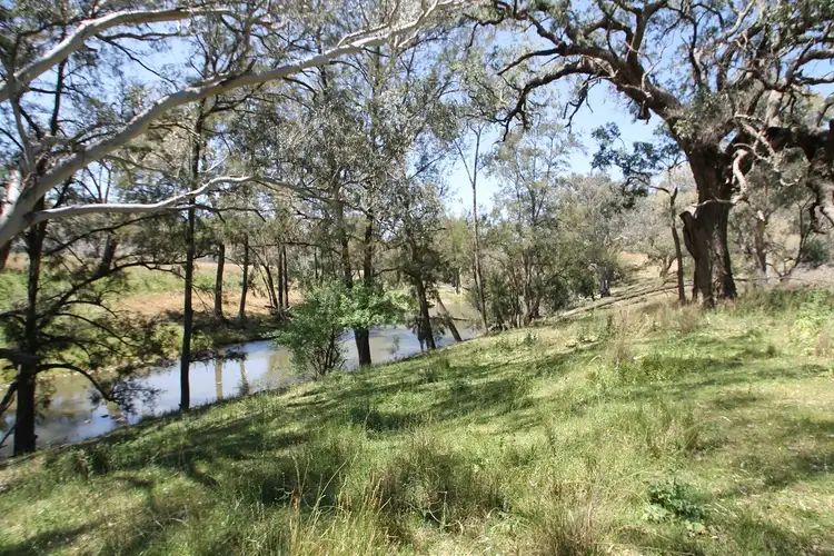 Seventh view of Homely rural property listing, 65 Guroba Road, Mudgee NSW 2850