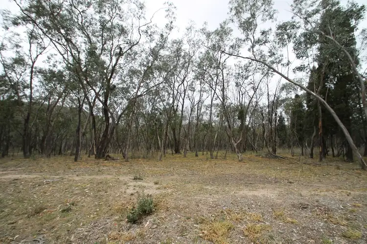 Fourth view of Homely rural property listing, 375 Cypress Drive, Mudgee NSW 2850