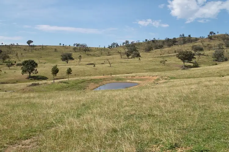 LOT 143 & 144 Lower Piambong Road, Mudgee NSW 2850