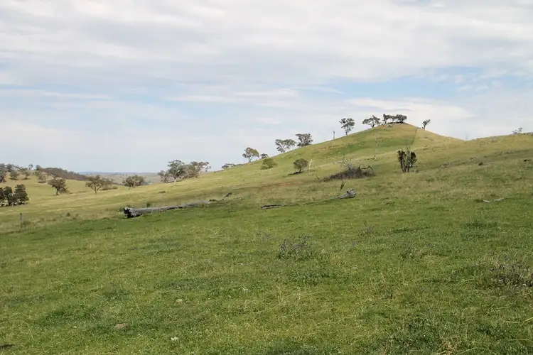 LOT 130 Lower Piambong Road, Mudgee NSW 2850