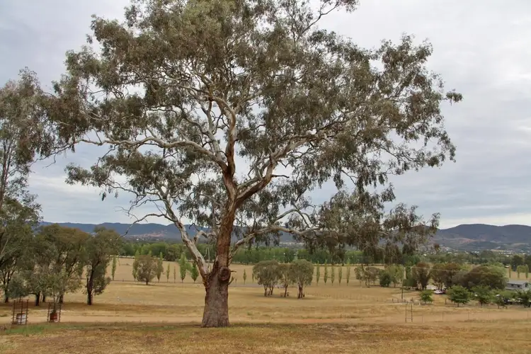 29a Robert Hoddle Grove, Mudgee NSW 2850