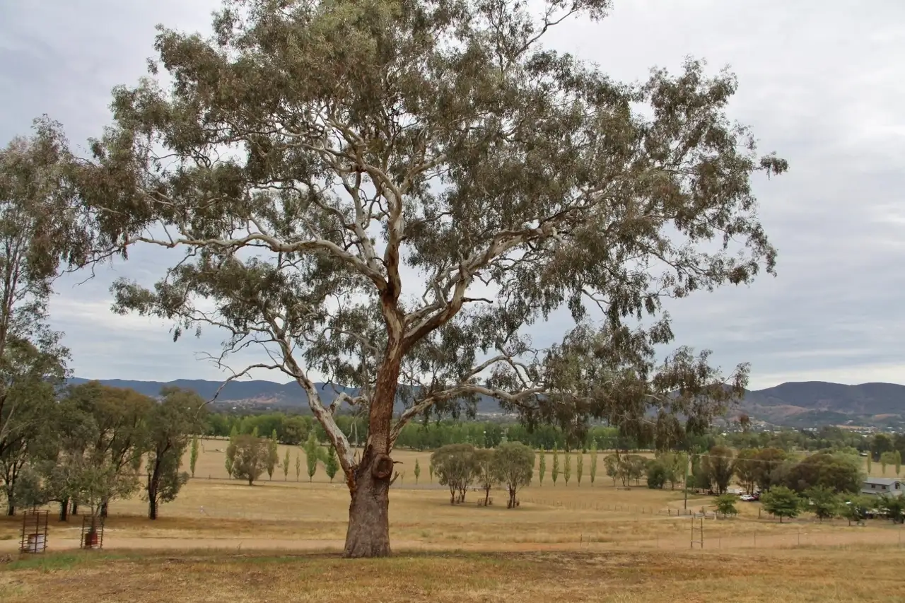 Main view of Homely land listing, 29a Robert Hoddle Grove, Mudgee NSW 2850