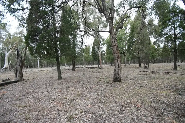 166 Maiala Road, Mudgee NSW 2850