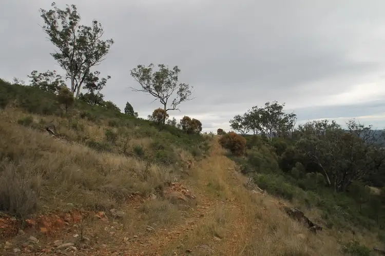 Second view of Homely rural property listing, 1808 Yarrabin Road, Mudgee NSW 2850