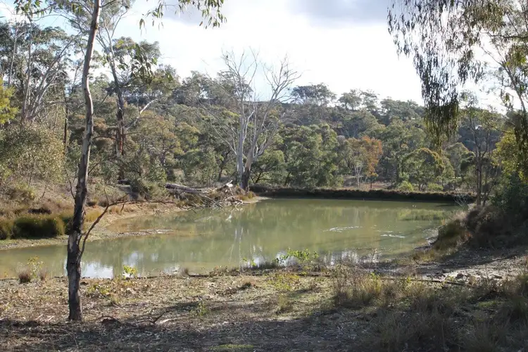 Fourth view of Homely rural property listing, 168 Clarkes Creek Road, Mudgee NSW 2850