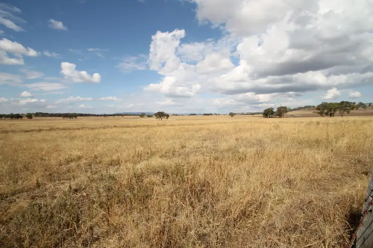 110 Ridout Lane, Gulgong NSW 2852
