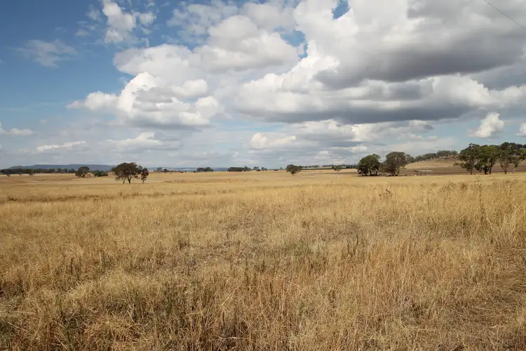 Second view of Homely rural property listing, 110 Ridout Lane, Gulgong NSW 2852