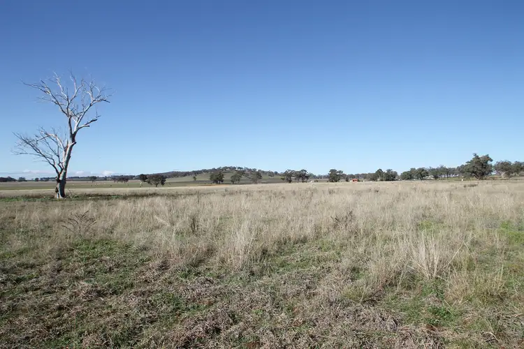 Main view of Homely rural property listing, 130 Ridout Lane, Gulgong NSW 2852