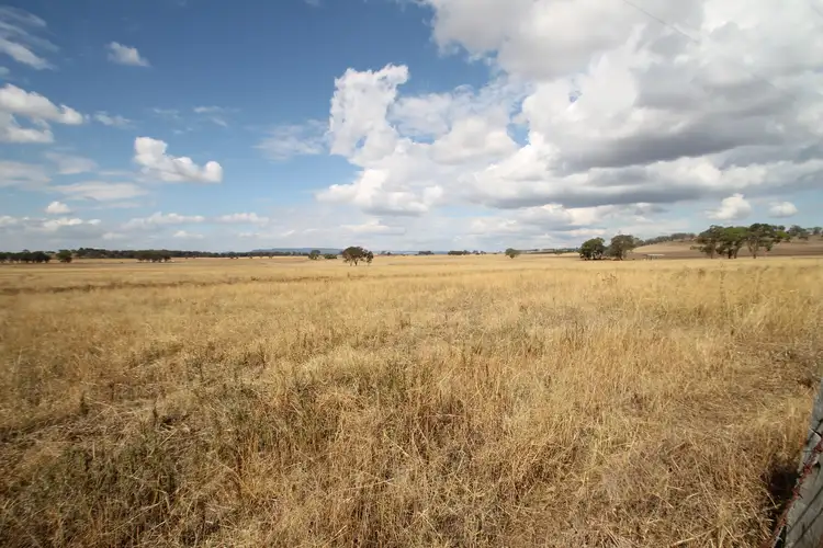 Main view of Homely rural property listing, 111 Grimshaw Lane, Gulgong NSW 2852