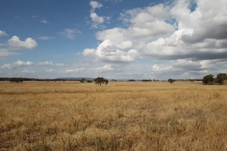 Second view of Homely rural property listing, 111 Grimshaw Lane, Gulgong NSW 2852