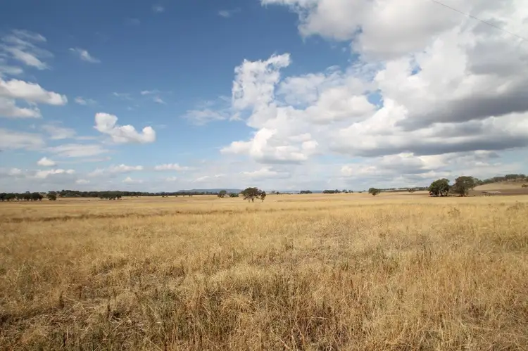 Main view of Homely rural property listing, 141 Grimshaw Lane, Gulgong NSW 2852