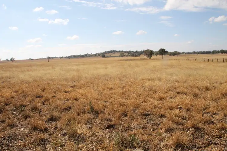 Second view of Homely rural property listing, 141 Grimshaw Lane, Gulgong NSW 2852