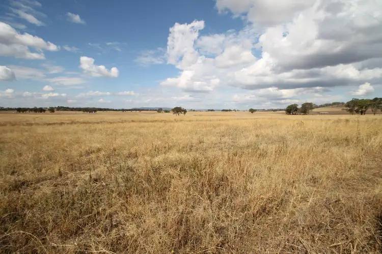 Third view of Homely rural property listing, 141 Grimshaw Lane, Gulgong NSW 2852