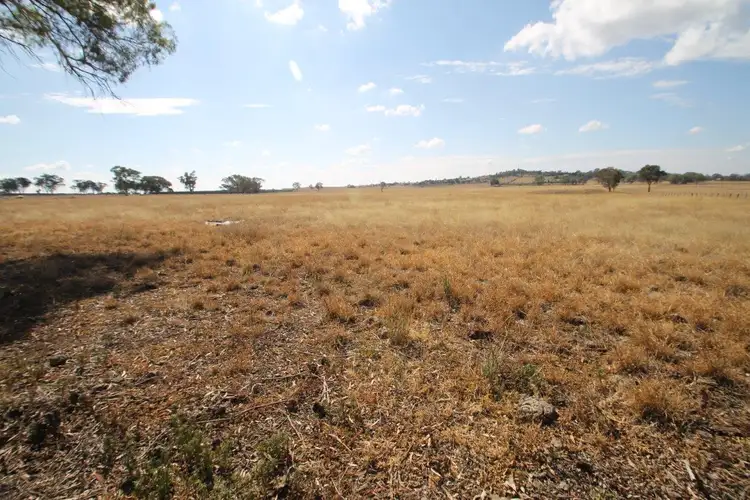 Fourth view of Homely rural property listing, 141 Grimshaw Lane, Gulgong NSW 2852