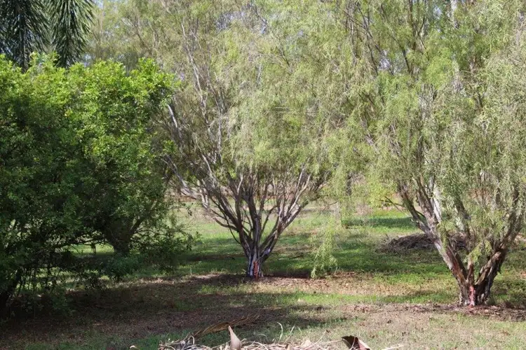 Fifth view of Homely rural property listing, 2300 Arnhem Highway, Marrakai NT 822