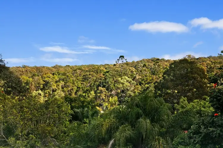 Fifth view of Homely house listing, 5 Lichen Court, Buderim QLD 4556
