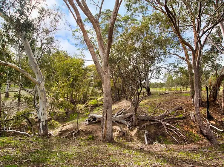 Fourth view of Homely rural property listing, Lot 5 Mount Back Road, Maldon VIC 3463