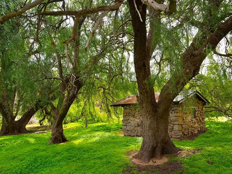 Fifth view of Homely rural property listing, Lot 5 Mount Back Road, Maldon VIC 3463