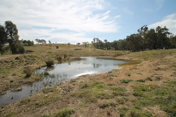 Main view of Homely rural property listing, LOT 5, 1737 Lower Piambong Road, Mudgee NSW 2850