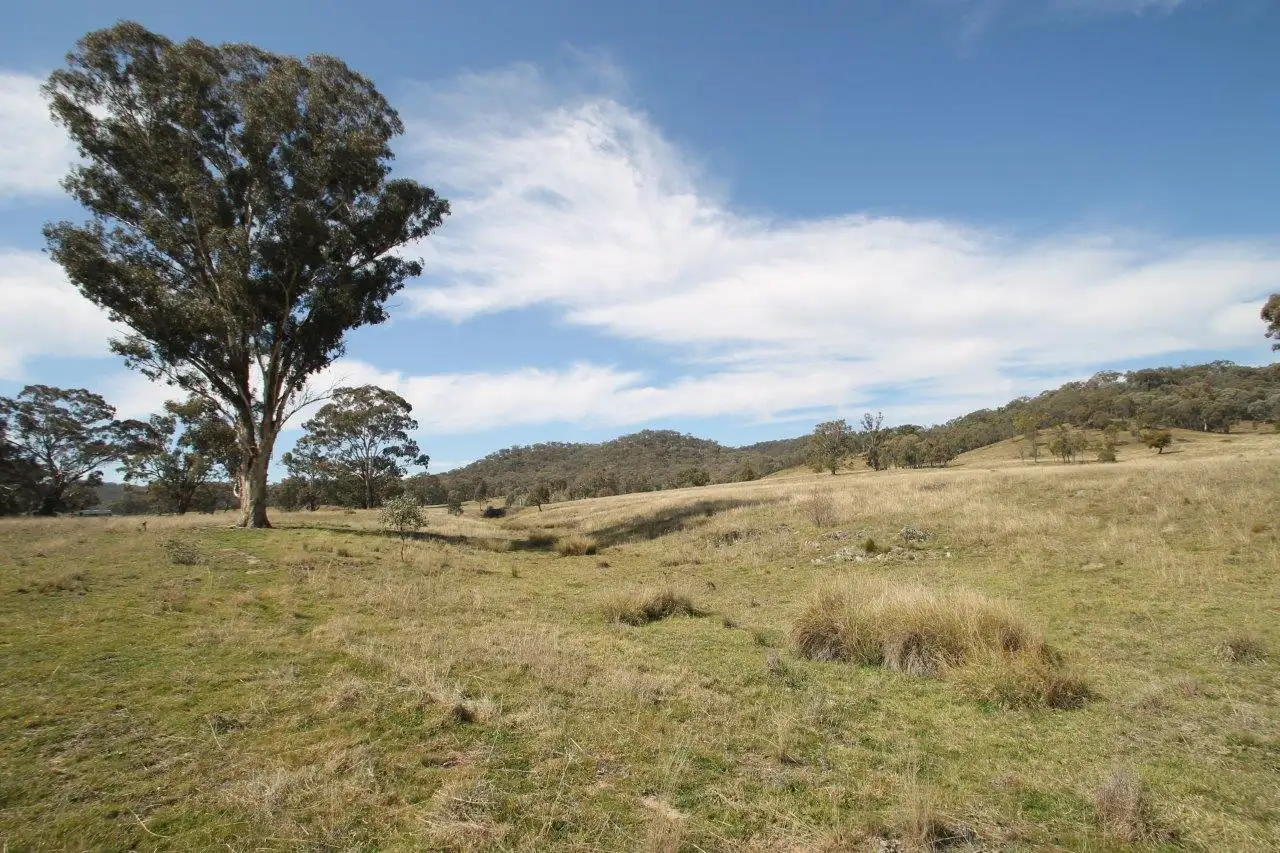 Main view of Homely rural property listing, 1733 Lower Piambong Road, Mudgee NSW 2850