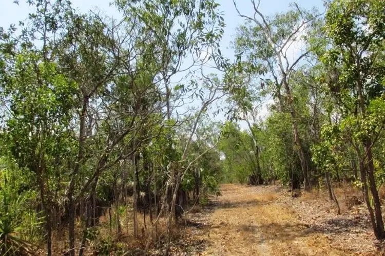 Second view of Homely land listing, 2909 Dundee Road, Dundee Downs NT 840