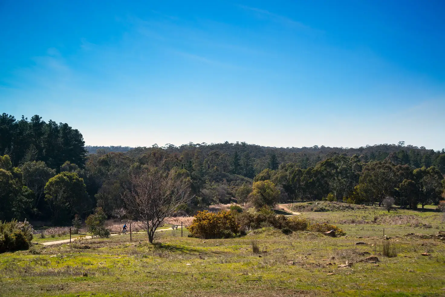 Main view of Homely land listing, 16 Main Road, Chewton VIC 3451