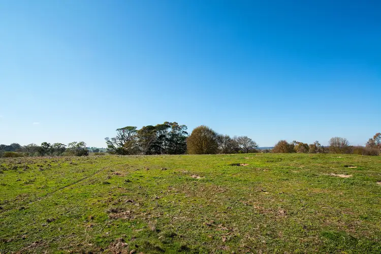 Fourth view of Homely land listing, 191 Bendigo-Sutton Grange Road, Elphinstone VIC 3448