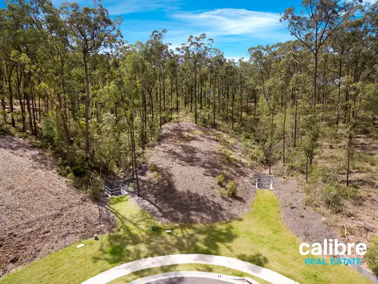 Second view of Homely land listing, 107 Chestnut Drive, Pine Mountain QLD 4306