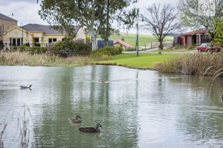 Sixth view of Homely house listing, 5 Lake Eyre Close, Greenwith SA 5125