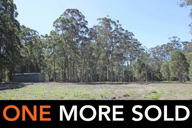53 Sherwood Road, Aldavilla NSW 2440