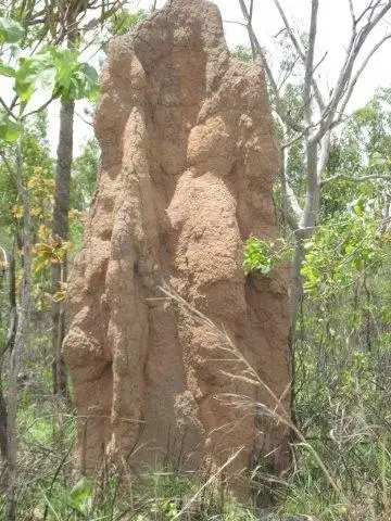 Fifth view of Homely rural property listing, LOT 1422, 52 Nolan Road, Eva Valley NT 822