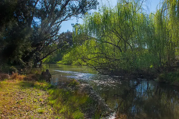 Second view of Homely rural property listing, 1346 Castlereagh Highway, Mudgee NSW 2850