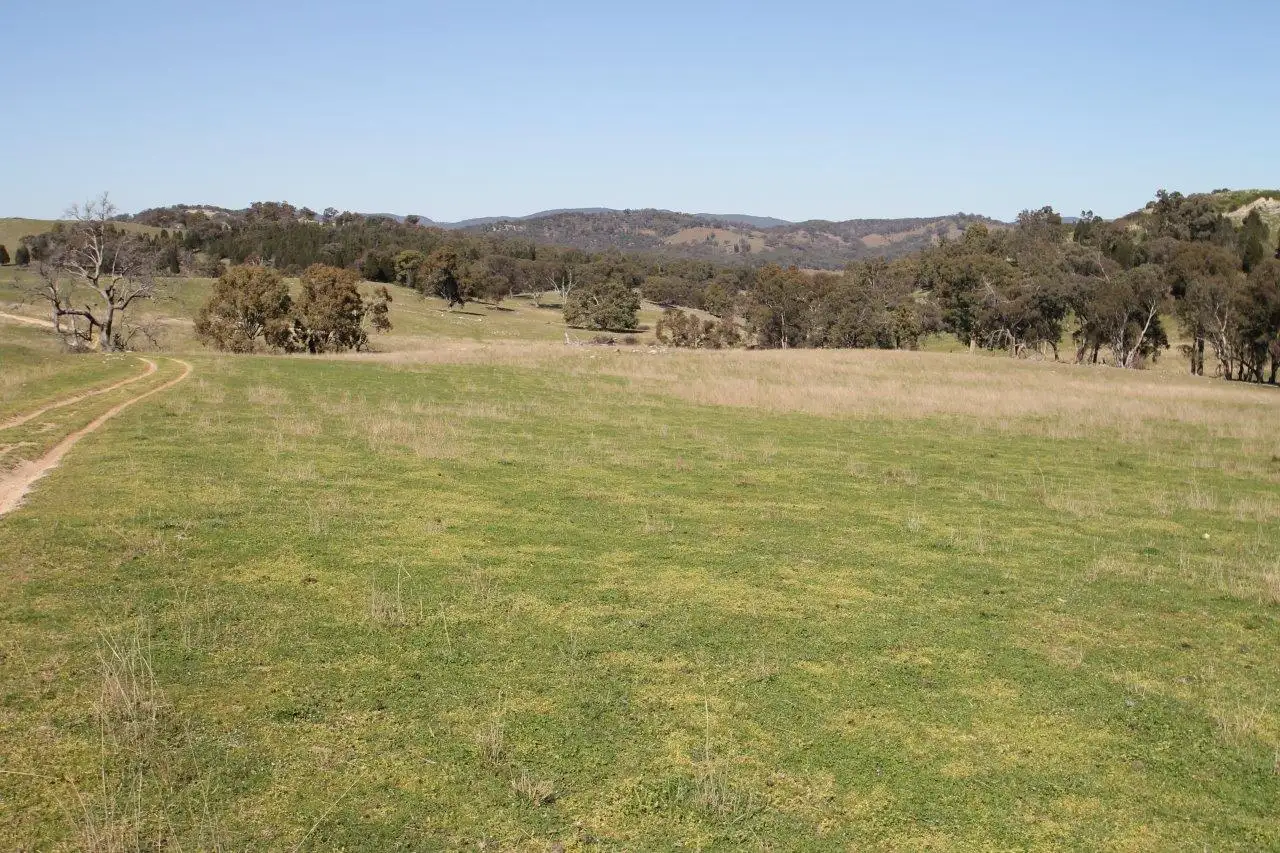 Main view of Homely rural property listing, LOT 7, 55, 56,, 874 Bara Road, Mudgee NSW 2850
