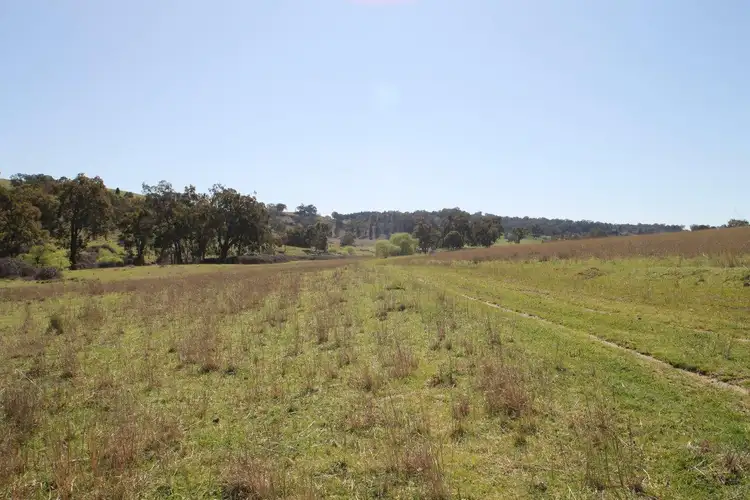 Fourth view of Homely rural property listing, LOT 7, 55, 56,, 874 Bara Road, Mudgee NSW 2850