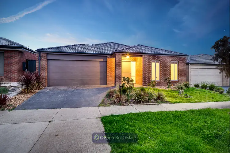 8 Palomino Avenue, Clyde North VIC 3978