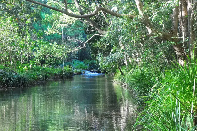 LOT 10 Tamarind Drive, Tintenbar NSW 2478