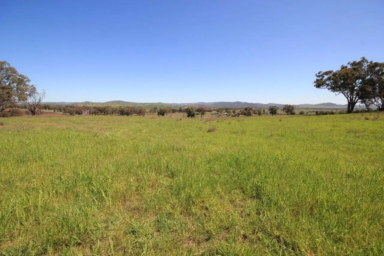 Main view of Homely rural property listing, LOT 7 Hill View Estate, Gulgong NSW 2852