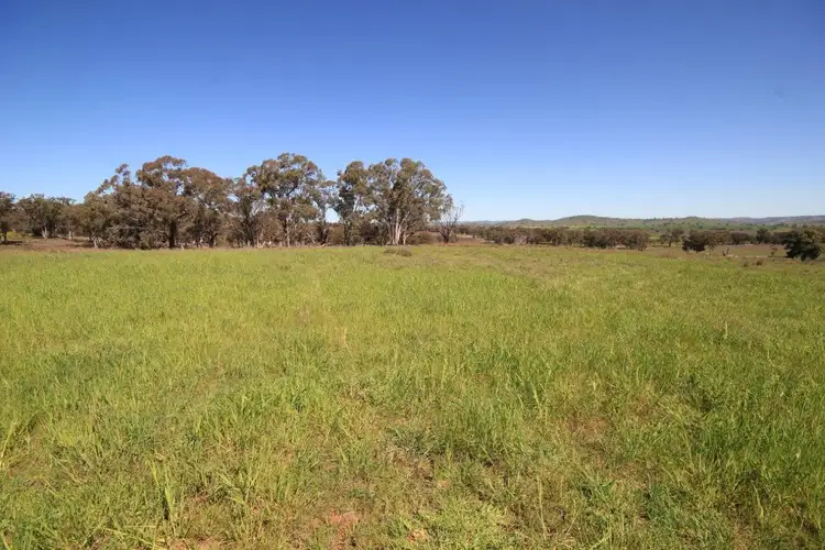 Seventh view of Homely rural property listing, LOT 7 Hill View Estate, Gulgong NSW 2852
