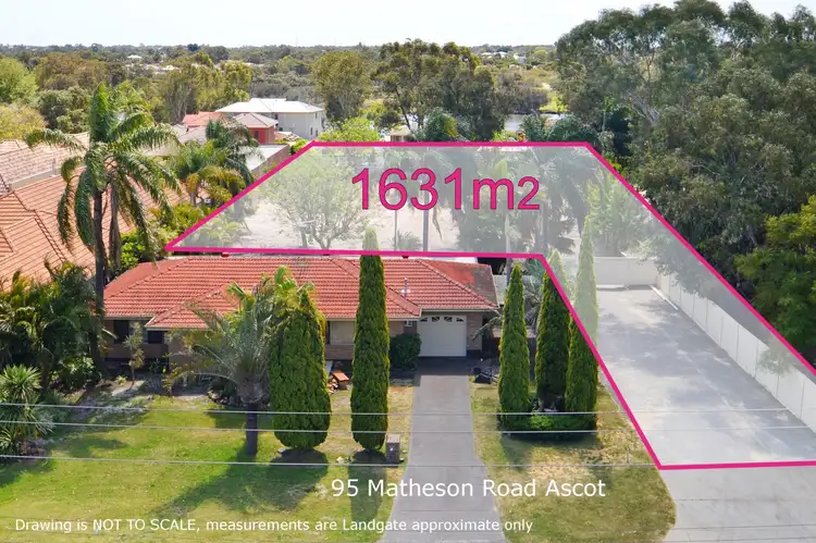 95 Matheson Road, Ascot WA 6104