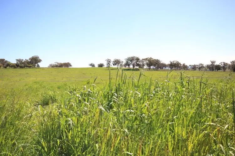 Main view of Homely rural property listing, LOT 9 Hill View Estate, Gulgong NSW 2852