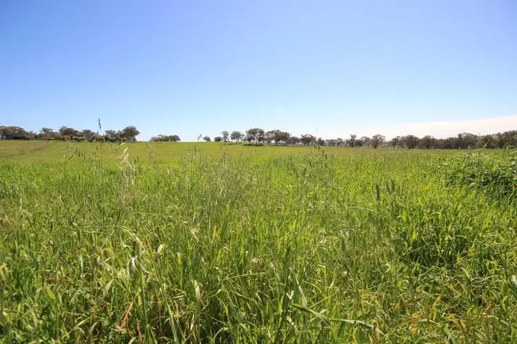 Second view of Homely rural property listing, LOT 9 Hill View Estate, Gulgong NSW 2852