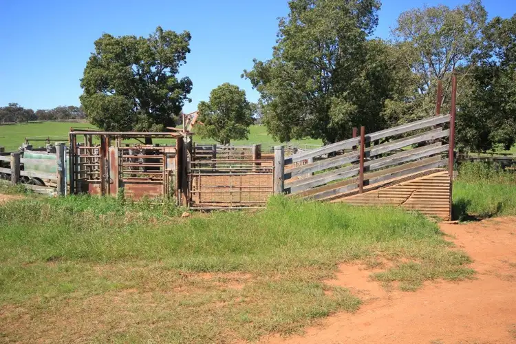 Sixth view of Homely rural property listing, LOT 9 Hill View Estate, Gulgong NSW 2852